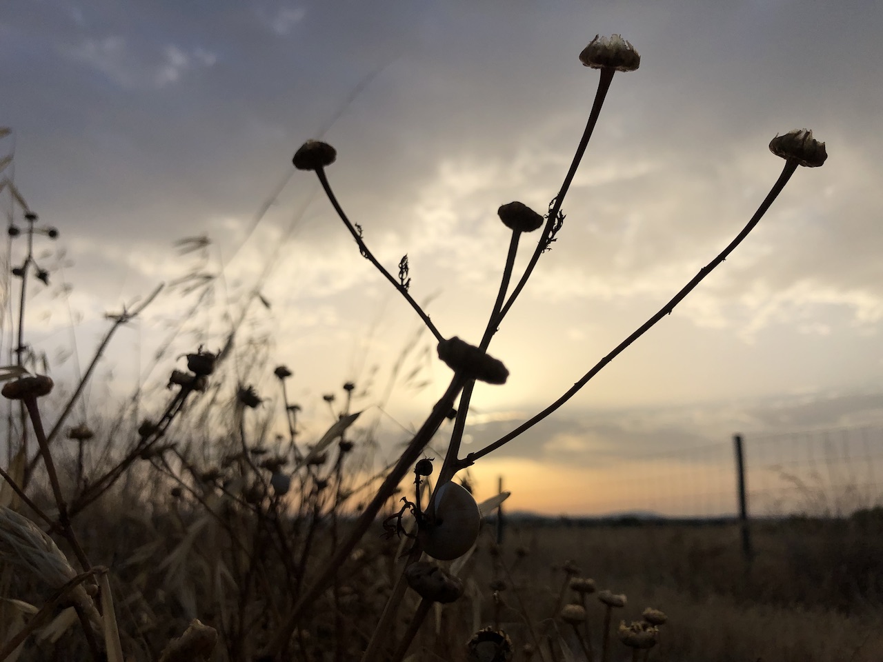 Portfolio Nature 27
