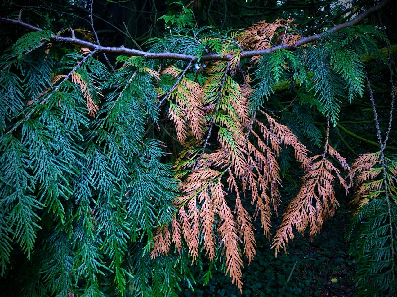 Portfolio Nature 19